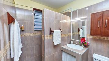 Shower, rainfall showerhead, hair dryer, towels