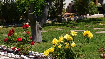 Detalle del exterior