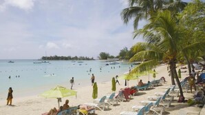 Une plage avec une eau turquoise et limpide, des palmiers et des chaises longues.
