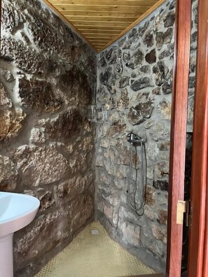 Ducha, cabezal de ducha tipo lluvia, secador de pelo, toallas
