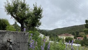 A stone water feature with a small tree and purple flowers. - Casa de Campo Benfeito (Castro Daire)