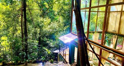 Tree room with Mountain View