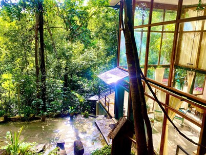 Tree room with Mountain View