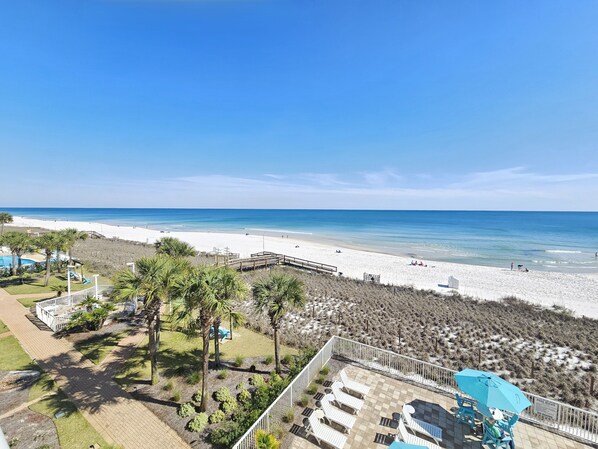 A beach view with a pool area, palm trees, and lounge chairs.