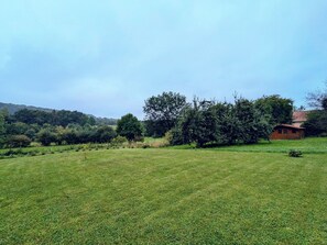 Property grounds - Charming country house with terrace and garden - 2 renovated apartments (Han-lès-Juvigny)