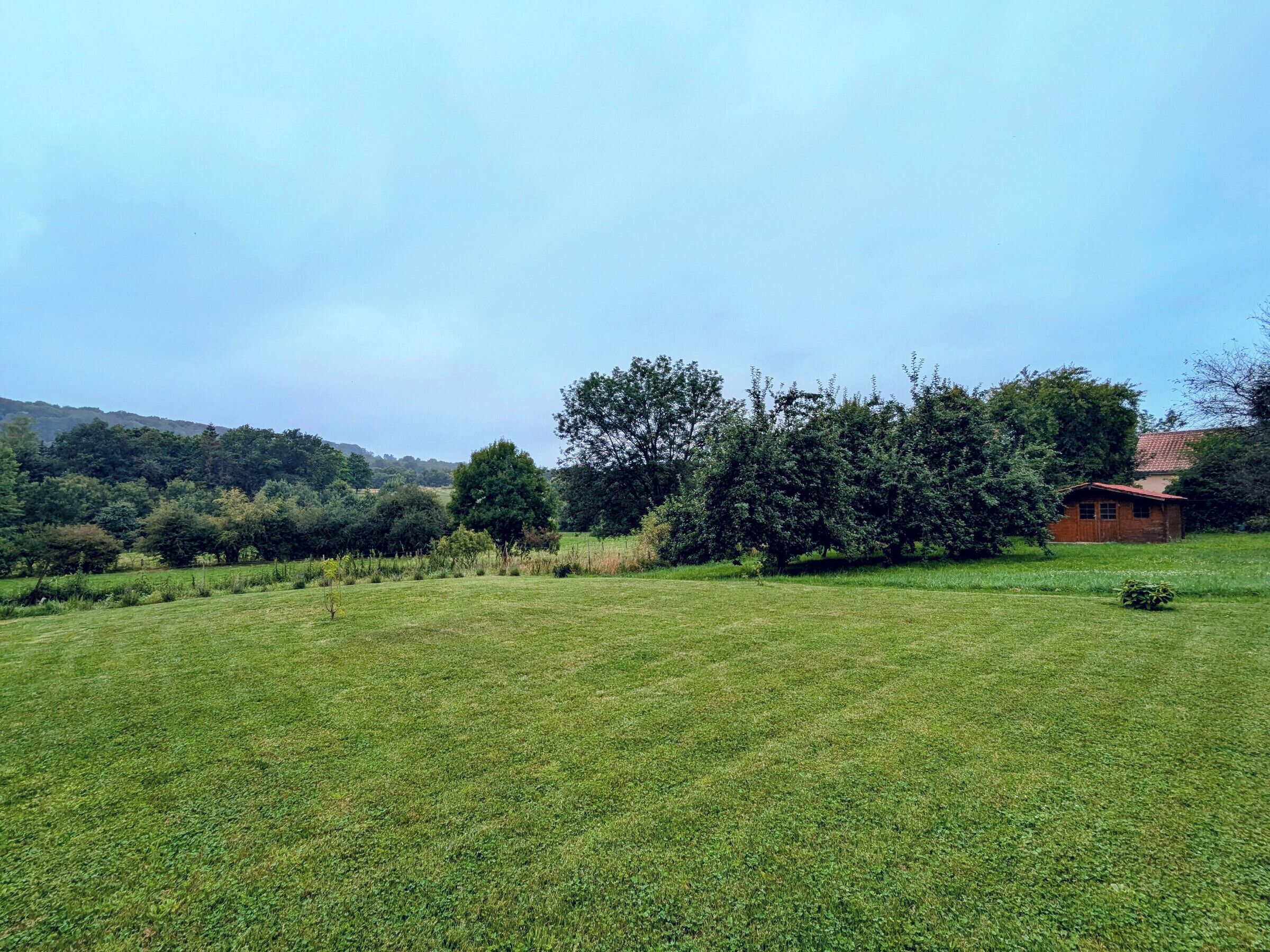 A grassy field with trees and a small wooden building.