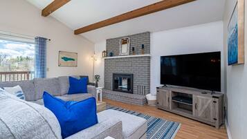 Smart TV, fireplace, books