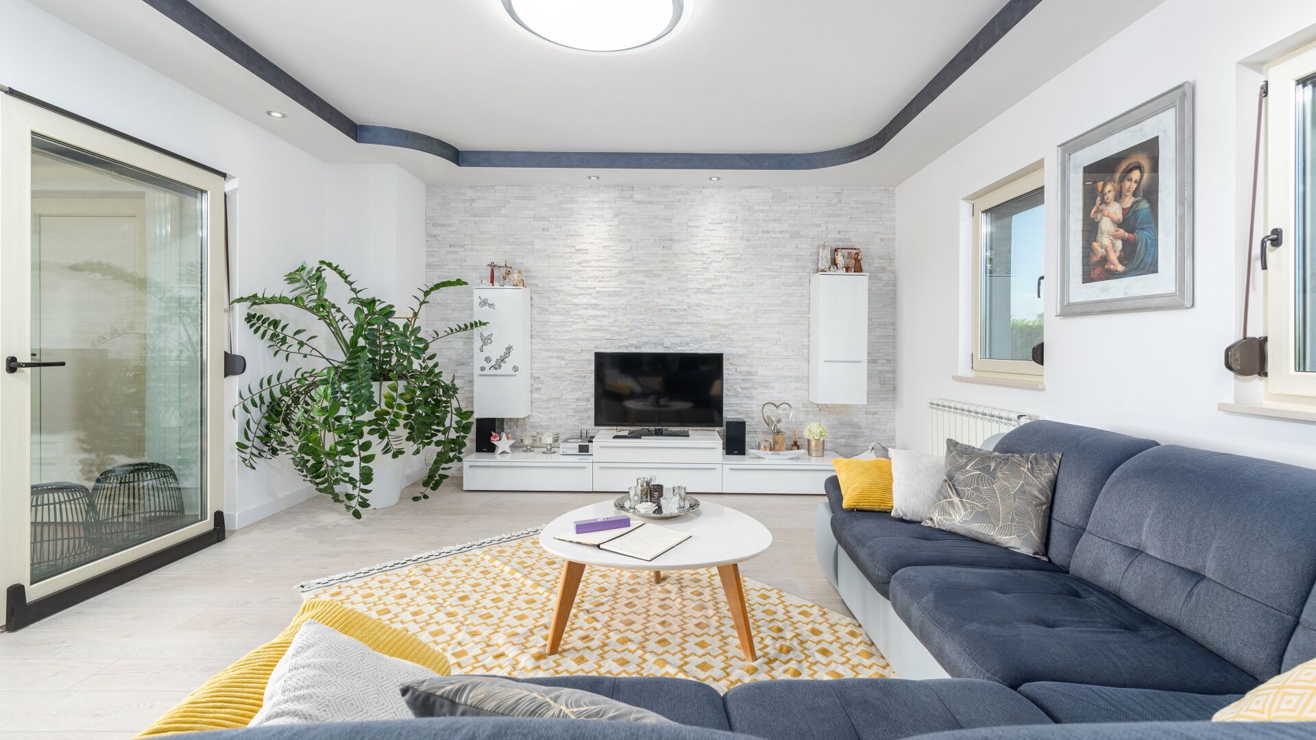 A modern living room with a grey sofa, a coffee table, a TV, and a large plant.
