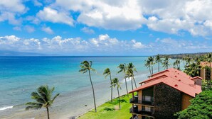 Un hotel frente a la playa con techo rojo, palmeras y vista al océano y tierra a lo lejos.