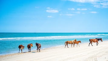 En la playa