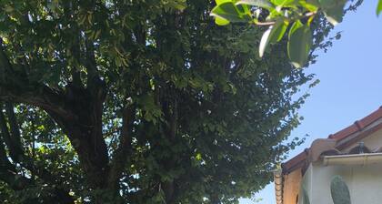 La Cabane au Fond du Jardin