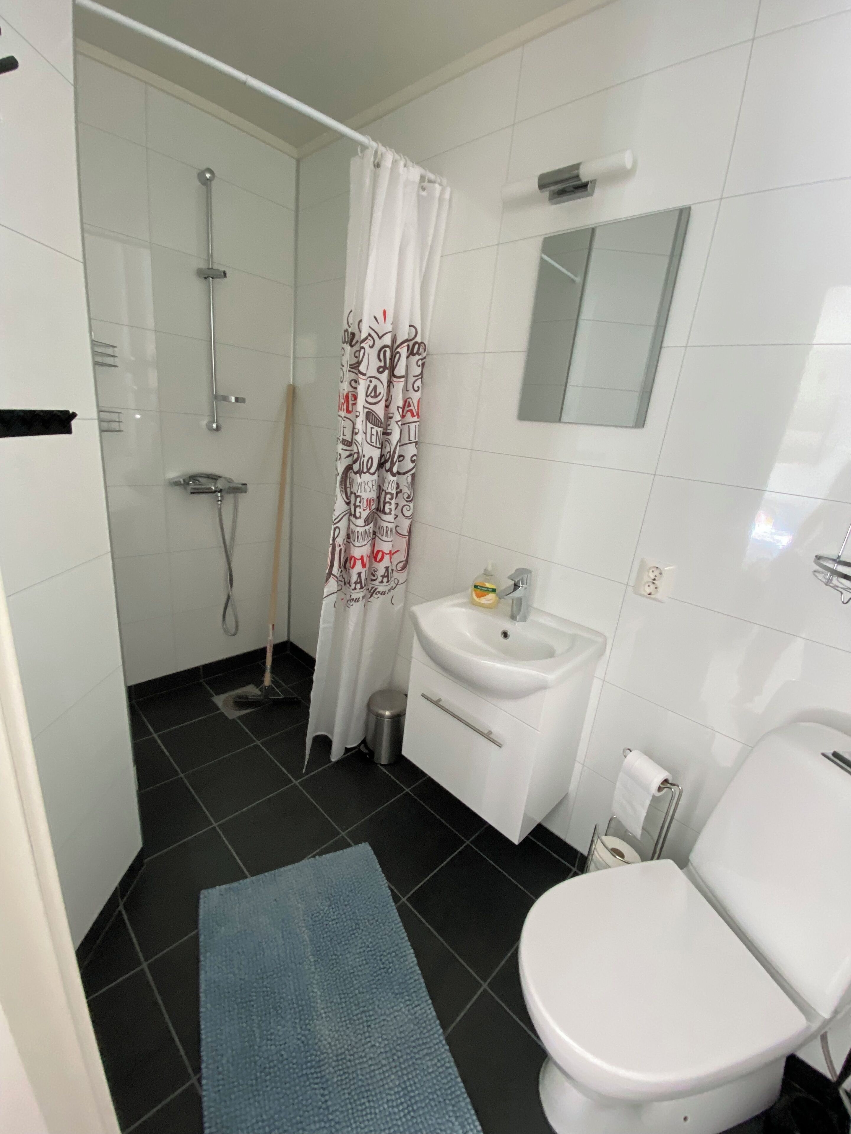 A bathroom with a shower, toilet, sink, and a mirror.