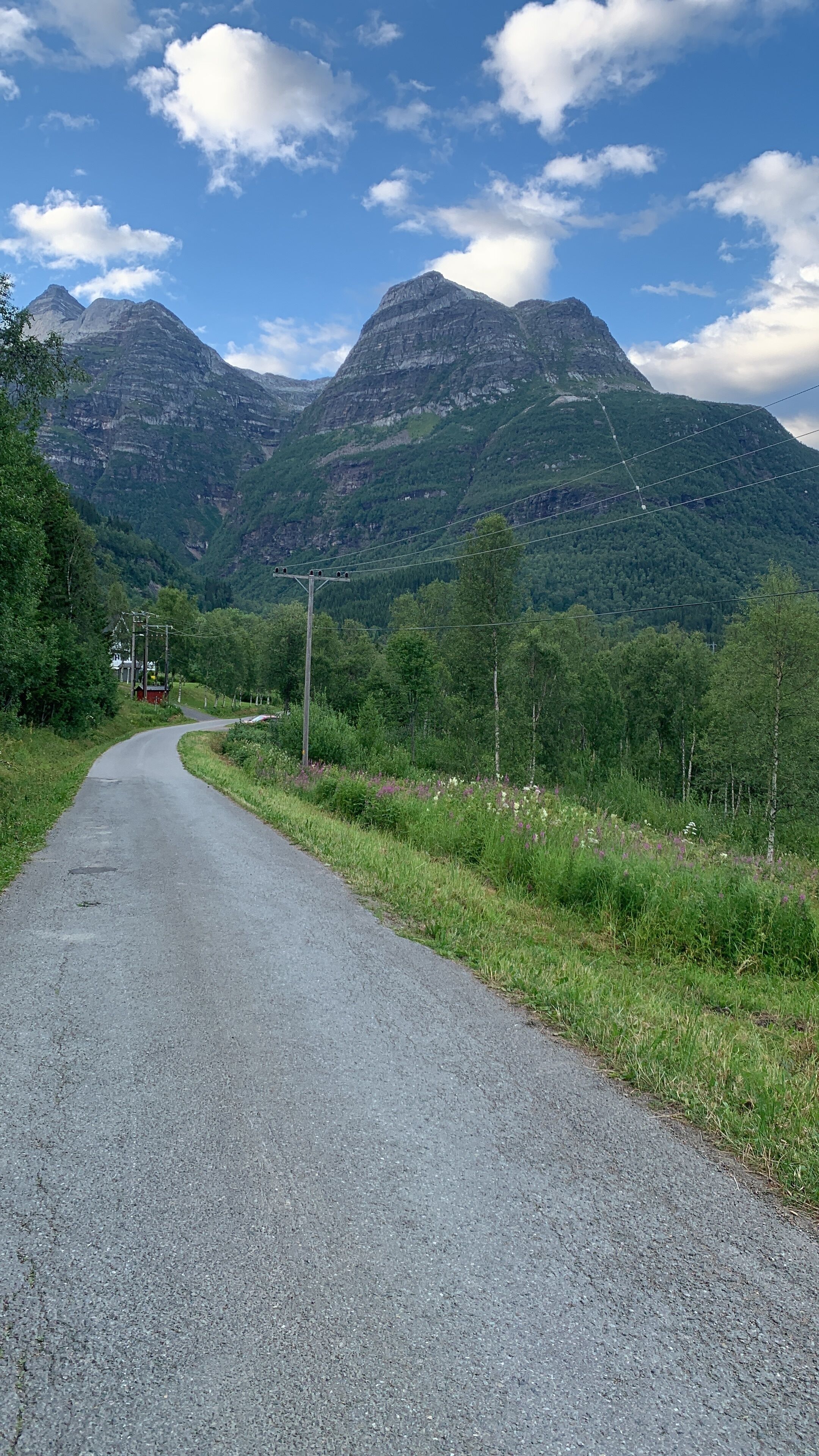 Une route de campagne sinueuse qui traverse une région montagneuse, bordée d’une végétation luxuriante et s’ouvrant sur un ciel dégagé.