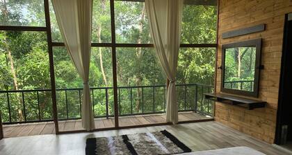 Nature’s beauty perfect comfort