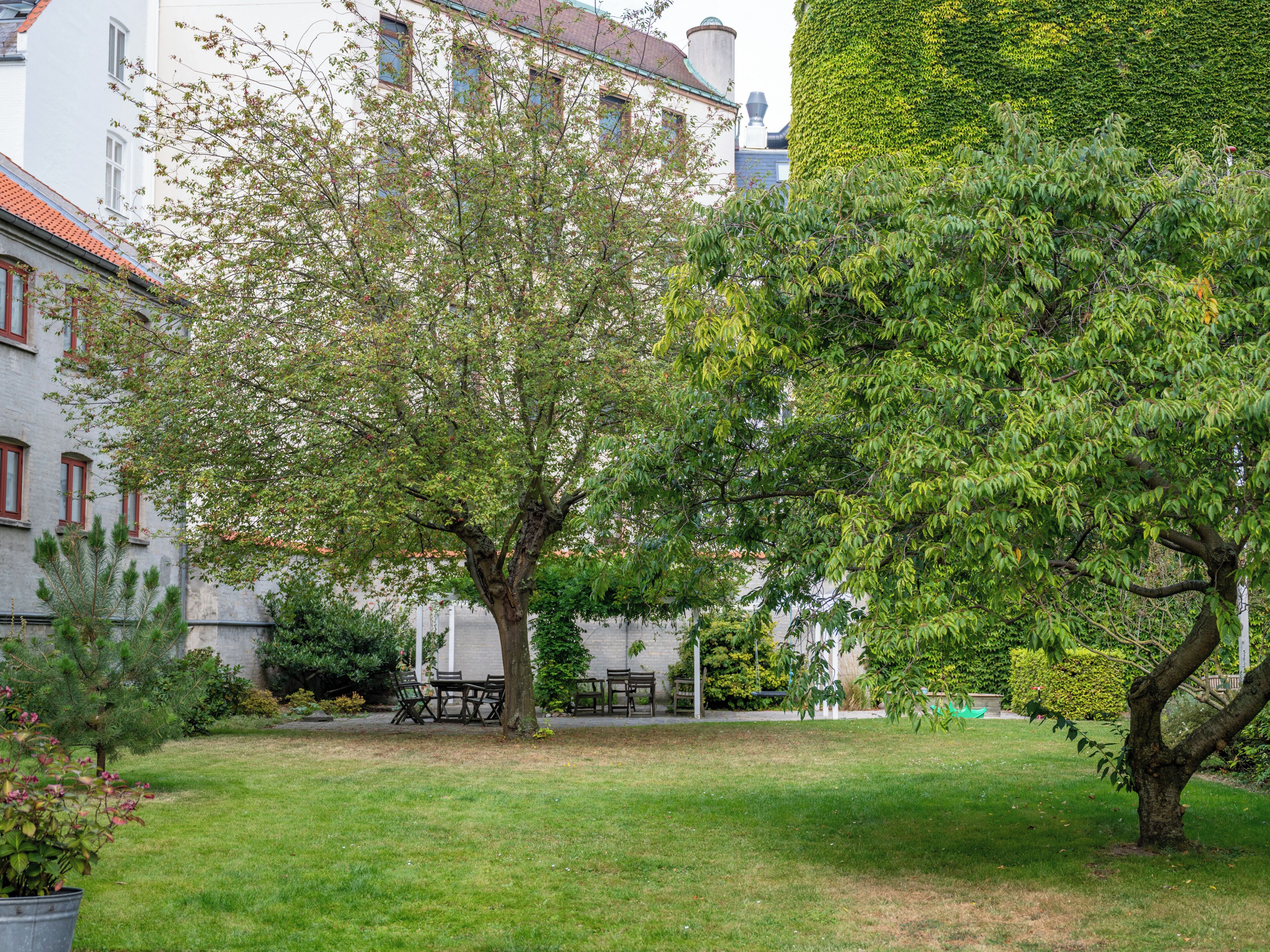 A courtyard with a large tree, a bench, and a building with a white facade and red window frames.