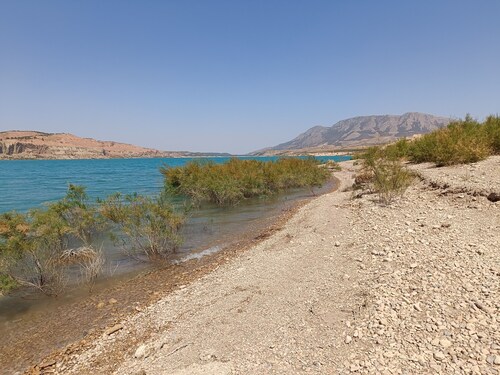 The Terrance Principle Asturias 15