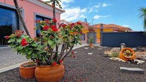 Een cactus met rode bloemen in terracotta potten, geplaatst in een tuin met een gebouw op de achtergrond.