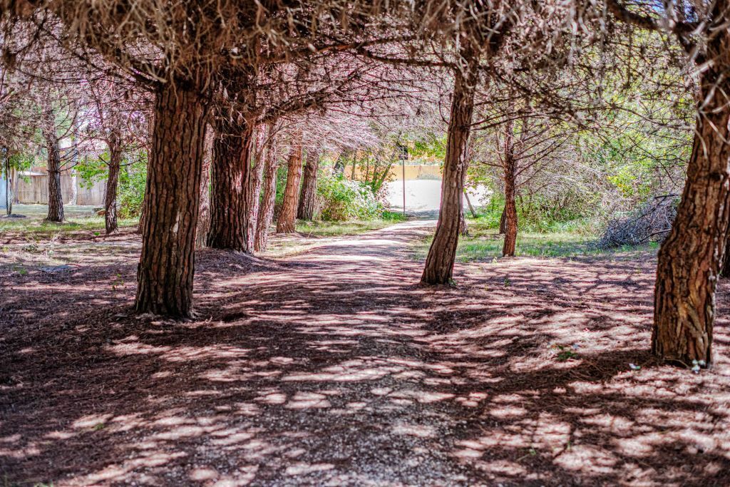On the beach, white sand