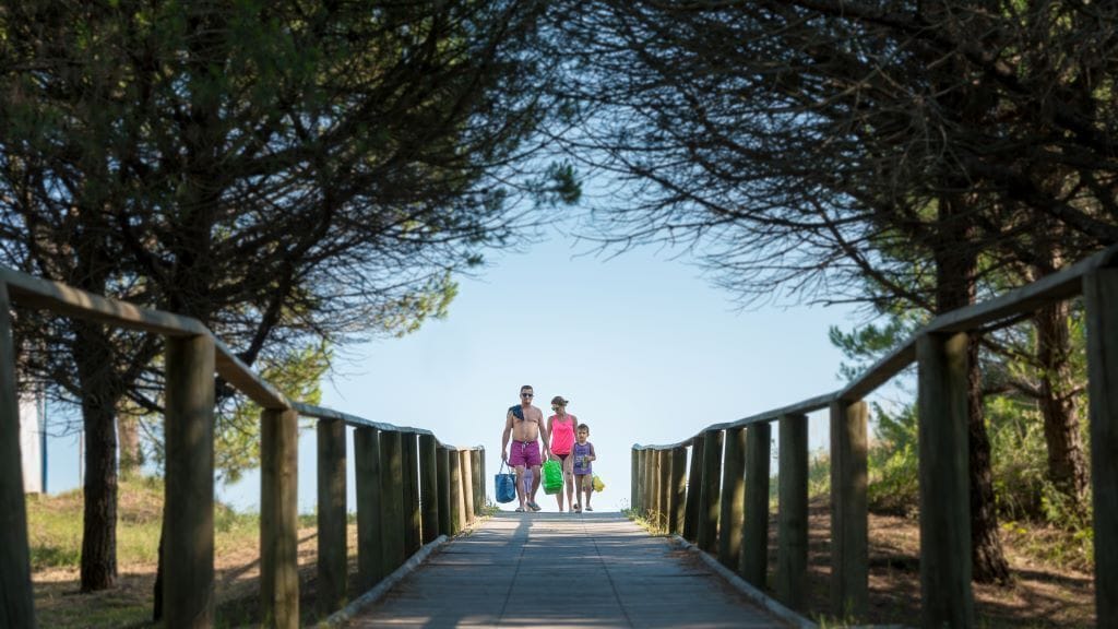 A wooden pathway with metal railings, surrounded by trees, leading to a body of water.