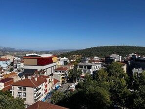 Superior Suite, Non Smoking, City View | View from room