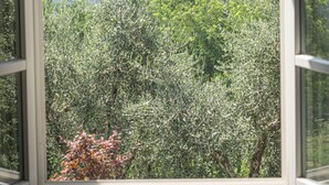A window with a view of a forested hillside. - Typical Stone House with Swimming Pool 6/8 Pax in the countryside between Florence and Lucca. (marliana)