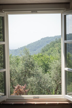 Interior - Typical Stone House with Swimming Pool 6/8 Pax in the countryside between Florence and Lucca. (marliana)