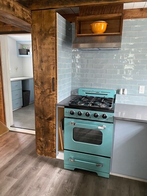 Un four, surface de cuisson, lave-vaisselle