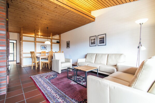 Smart TV, fireplace, DVD player, books