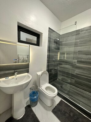 Hair dryer, towels, soap, toilet paper - Cozy hotel in enjoyable Kingston with AC, WiFi (Kingston)