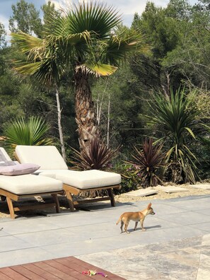 Property grounds - Entre mer et Foret Propriété, Atypique, Avec Piscine Chauffée , Animaux Acceptés (Auriol)
