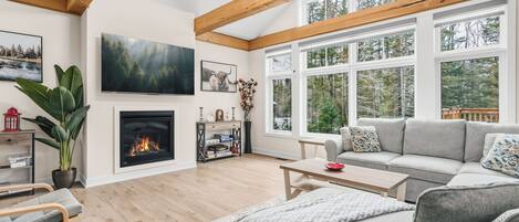 Téléviseur connecté, foyer, livres