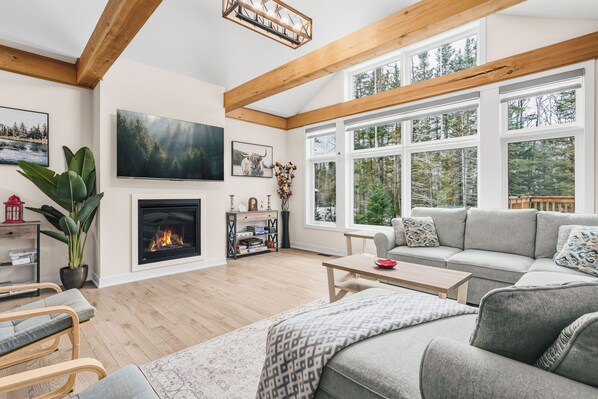 Smart TV, fireplace, books