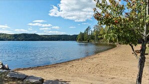 Una playa junto al lago con arena, una mesa de picnic y un árbol.