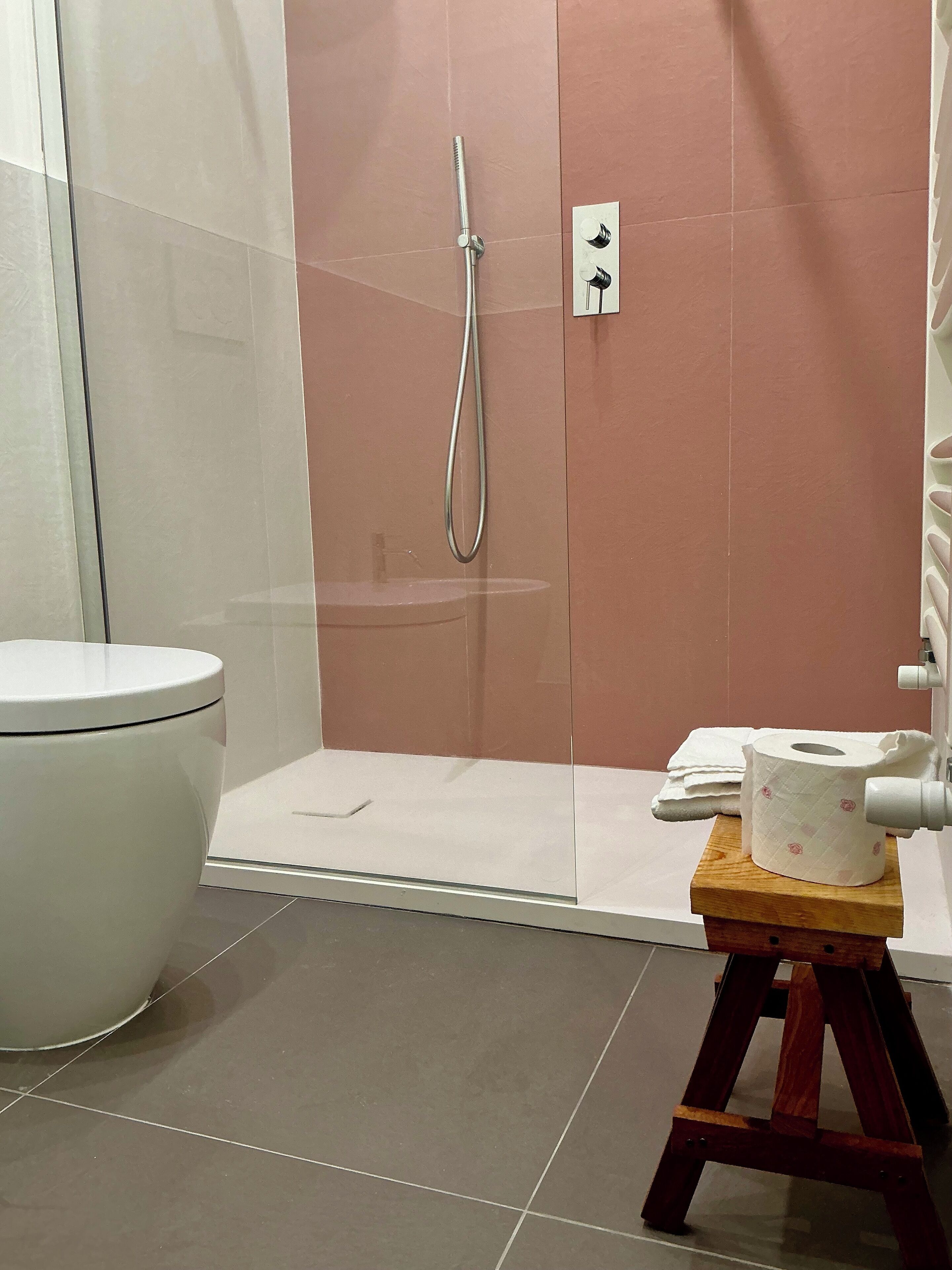 Ducha, secador de pelo, bidé y toallas