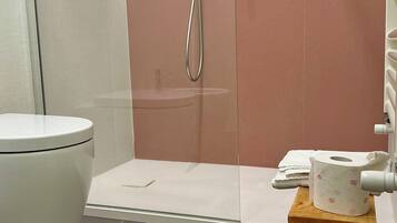 Ducha, secador de pelo, bidé y toallas