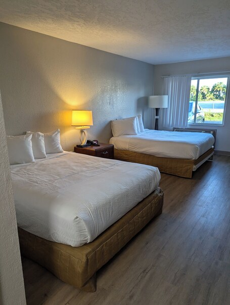El Sol - Image 2