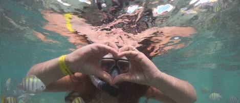 On the beach, 18 beach bars