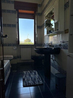 Shower, hair dryer, bidet, towels