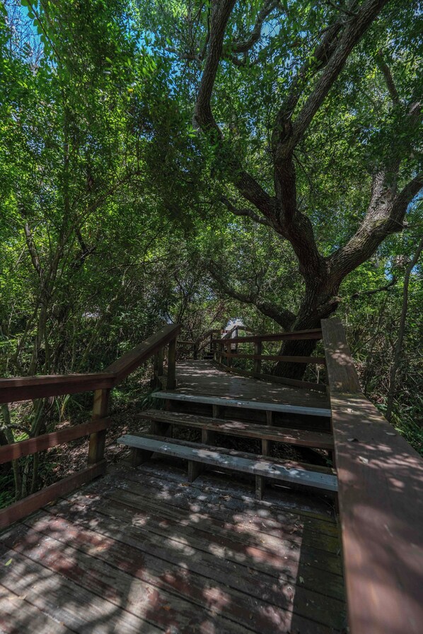 Property grounds - 2201 Summerwoods Circle (Nassau County)