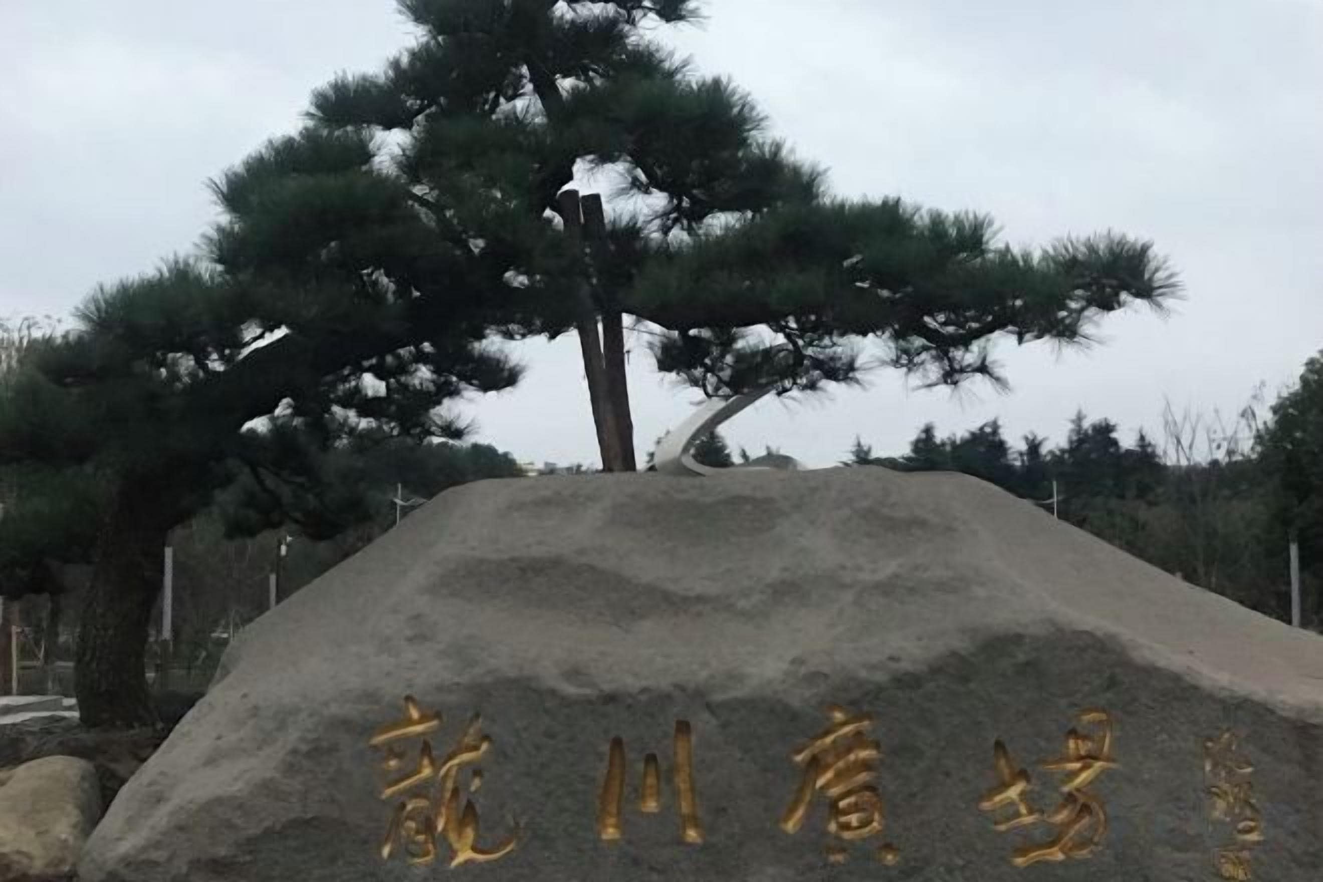 A large pile of gravel with a tree in the background and some text on it.