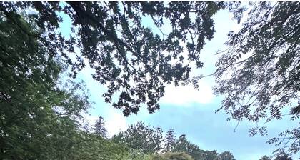 Ladyburn House: Luxury Ayrshire Country Retreat Hot Tub, Sauna, Gardens