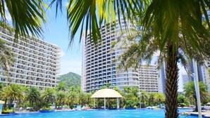 A swimming pool surrounded by palm trees and high-rise buildings.
