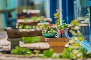 Food and drink - Jialan Inn (Lijiang)