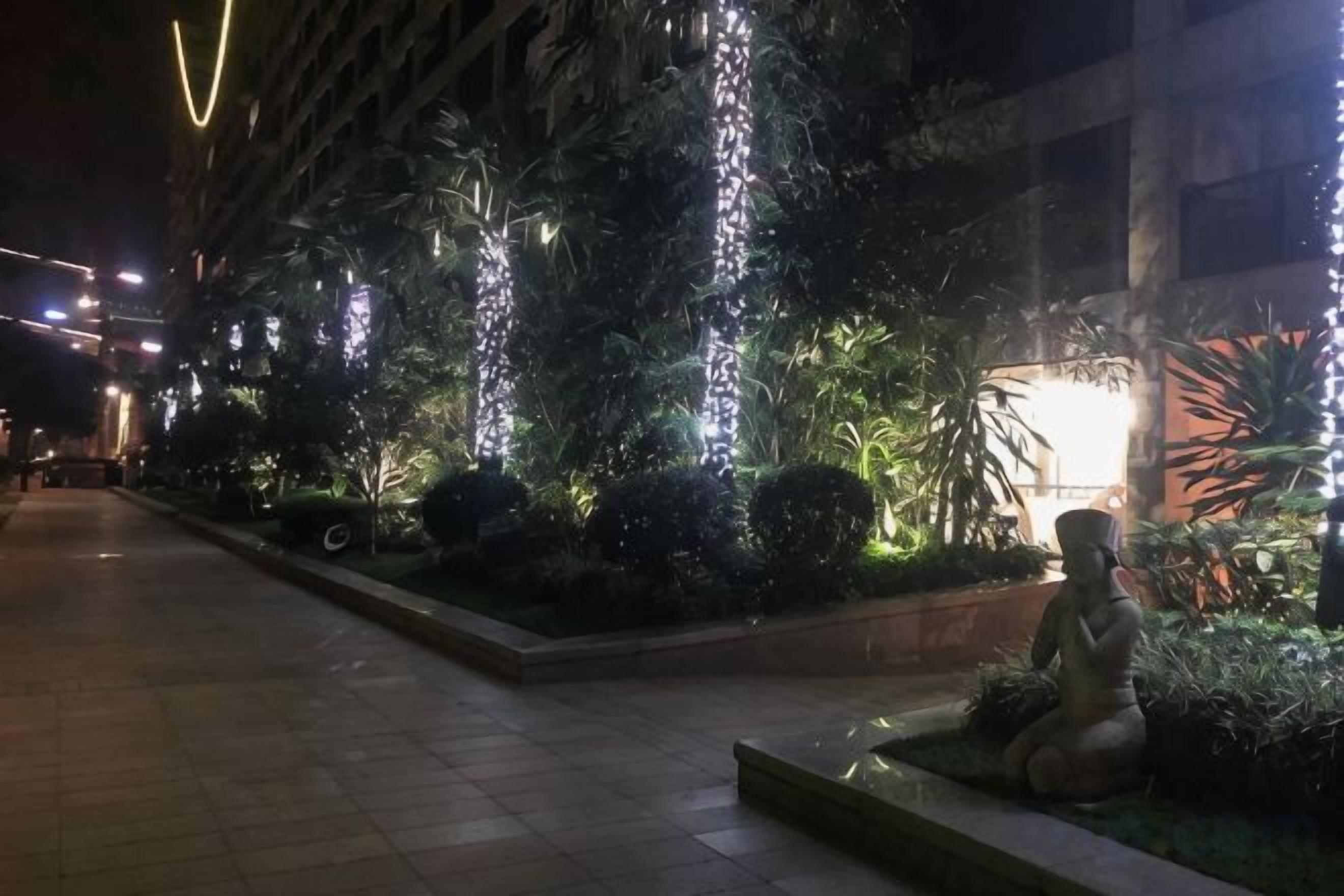 A nighttime outdoor area with illuminated trees, a statue, and a building in the background.