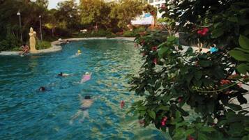 A swimming pool surrounded by lush greenery and a building in the background.