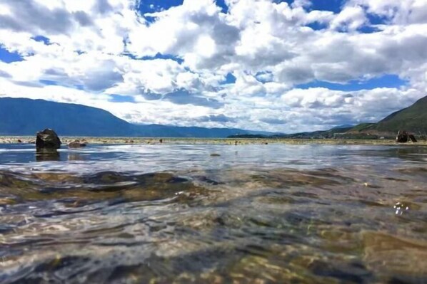 Beach - Beginner's Mind in Dali Art Theme Hotel (Dali)