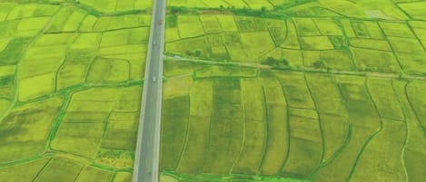 An aerial view of a straight road cutting through a series of rectangular fields.