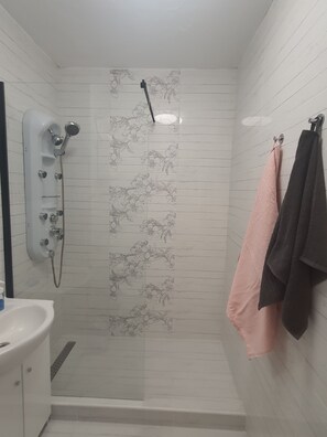 Regadera, toallas, papel de baño 