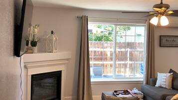 Smart TV, fireplace, books