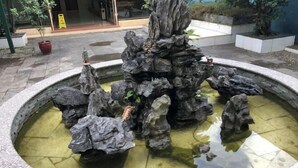 Un estanque de piedra circular con una formación rocosa en el centro y un pequeño puente.